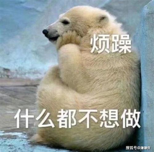 我不再吃瓜图片,我不再吃瓜，聚焦生活新篇章