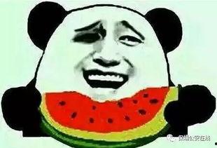 微信群吃瓜群众免费吃