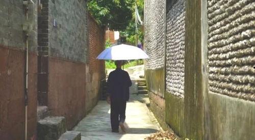 围栏杆吃瓜事件,一场关于公共道德与个人行为的思考